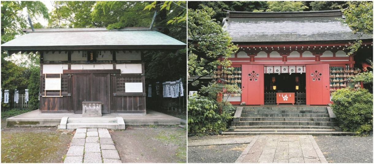 神社本庁からまたも有名神社が「離脱」 鎌倉の荏柄天神社と白旗神社、鶴岡八幡宮に同調:東京新聞デジタル
