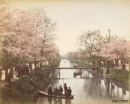 江戸川と呼ばれていた神田川の一部。桜の名所だった＝明治～大正期に撮影（いずれも文京ふるさと歴史館提供）