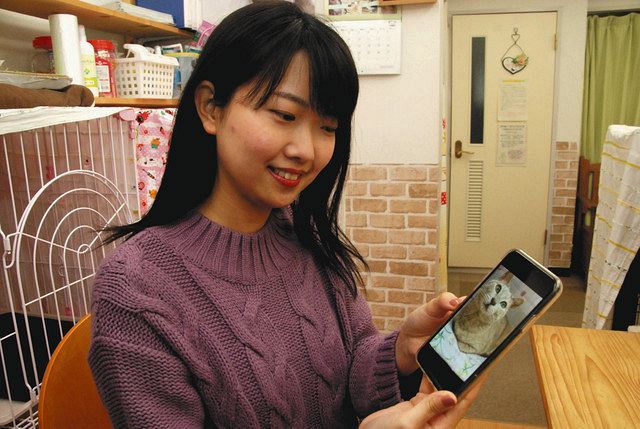 大学ネコ 学生らに救われる コロナ禍で人消えたキャンパス 脚をけが 東京新聞 Tokyo Web 大学ネコ 学生らに救われる コロナ禍で人消えたキャンパス 脚をけが 東京新聞 Tokyo Web