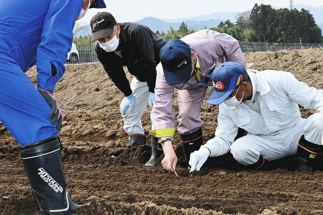 機械でまかれた種の様子を確認する農家ら＝福島県浪江町で