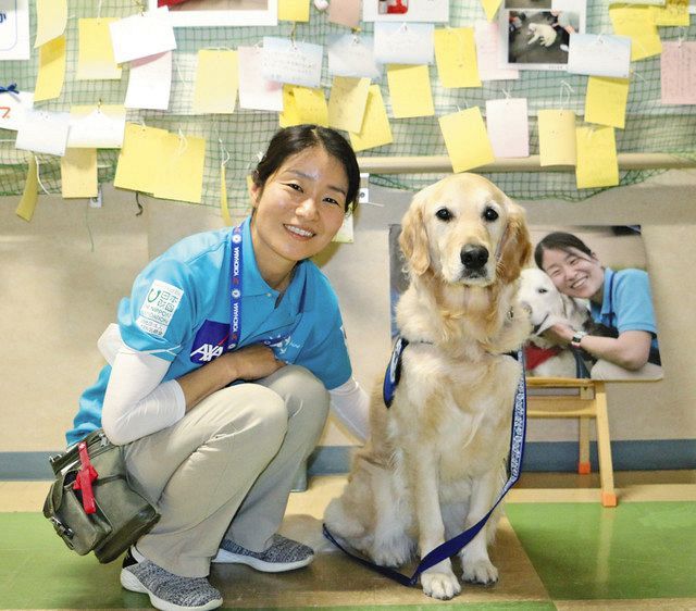 入院の子ども２万人以上を元気づけた犬 ベイリーにまた会える 動画きょうから公開 東京新聞 Tokyo Web