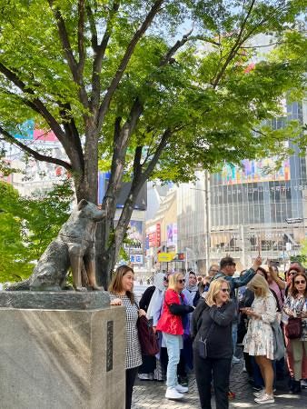 ぷらっとTOKYO】「渋谷」 変貌の街で息づく歴史：東京新聞デジタル