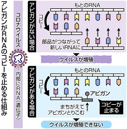 命救う薬に コロナへの効果期待 アビガン開発者に聞く 東京新聞 Tokyo Web