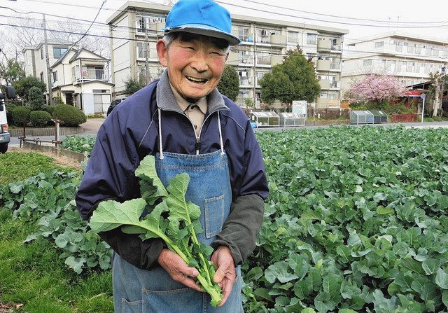 あきらめた夢 のらぼう菜が叶えてくれた 歳栽培名人が本を出版するまで 東京新聞 Tokyo Web