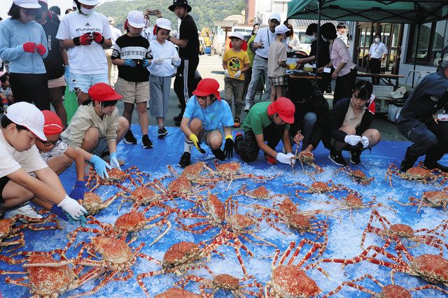 タカアシガニ放流 戸田の小中一貫校児童ら21人「元気に育ってね」 漁獲