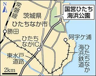 青空と丘が一体化 淡いブルーのネモフィラが見頃 国営ひたち海浜公園で2年ぶり公開 東京新聞 Tokyo Web 青空と丘が一体化 淡いブルーのネモフィラが見頃 国営ひたち海浜公園で2年ぶり公開 東京新聞 Tokyo Web
