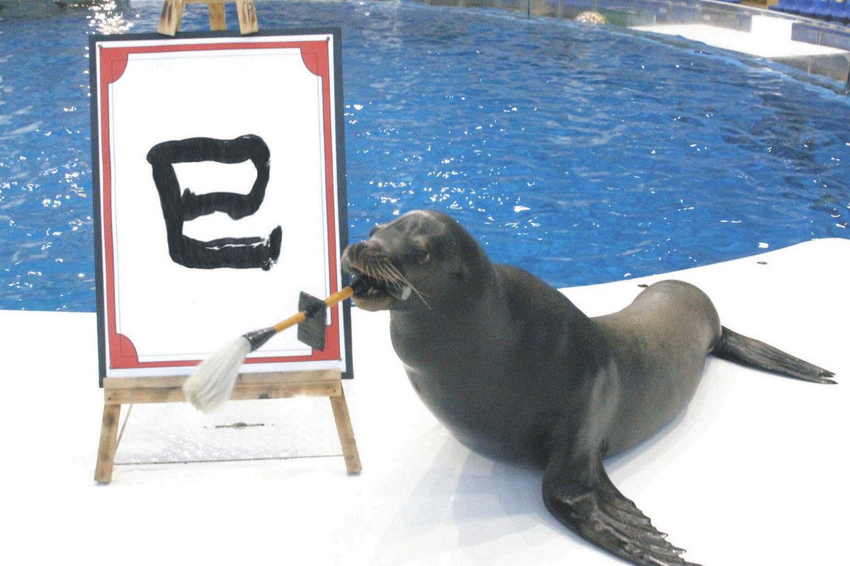 アシカの書き初め！干支にちなんだシマウミヘビ登場！ 27日からアクア