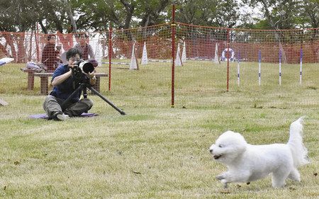 人を笑顔に 飛行犬 那須烏山 高山さん 撮影会好評 東京新聞 Tokyo Web