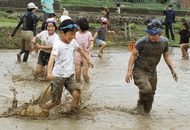 秩父点描 どろんこ遊び 楽しい 皆野の小学生 田んぼで体験 東京新聞 Tokyo Web