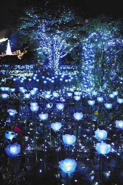 聖地 にきらめく奇蹟の大藤 あしかがフラワーパークでイルミネーション 鬼滅の刃ファン魅了 東京新聞 Tokyo Web 聖地 にきらめく奇蹟の大藤 あしかがフラワーパークでイルミネーション 鬼滅の刃ファン魅了 東京新聞 Tokyo Web