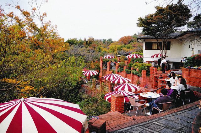 地形を生かしたテラス席が人気を集める＝いずれも鎌倉市で