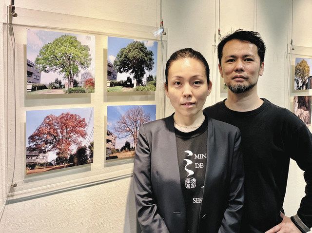 ケヤキの木を紹介する写真展を企画した山中さん（左）と岩間さん＝杉並区役所で（ミイセ提供）