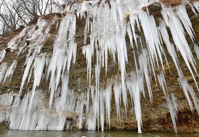 長野・木曽 氷のカーテン 厳冬アート：東京新聞デジタル