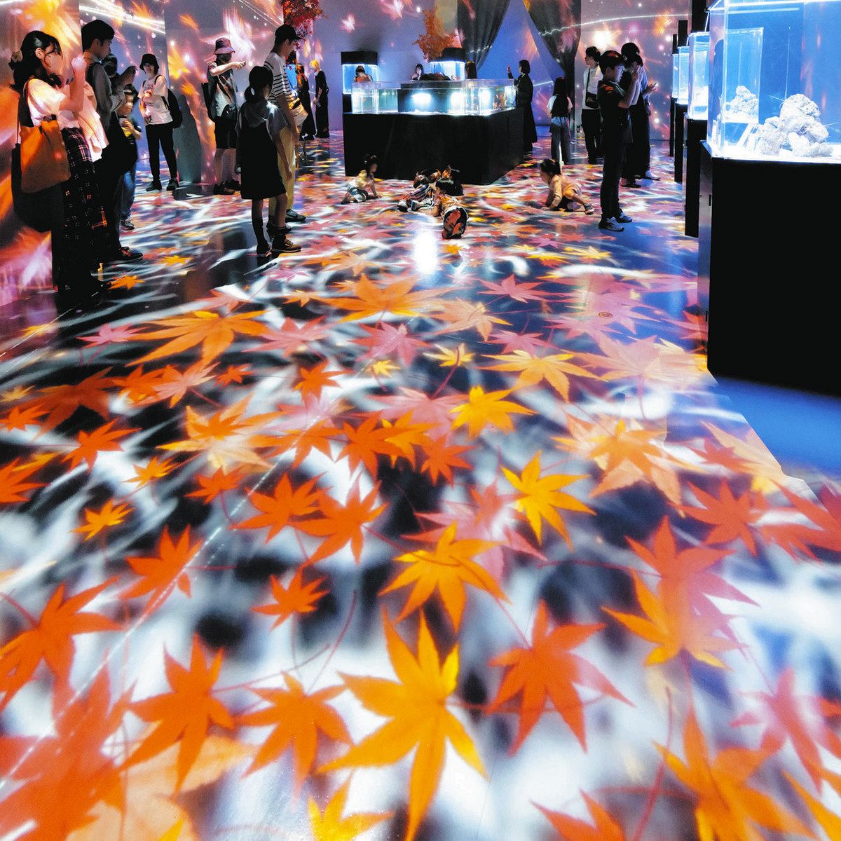 行ってみたら＞colours 街の色 自然の色 デジタルで彩る錦秋：東京新聞デジタル