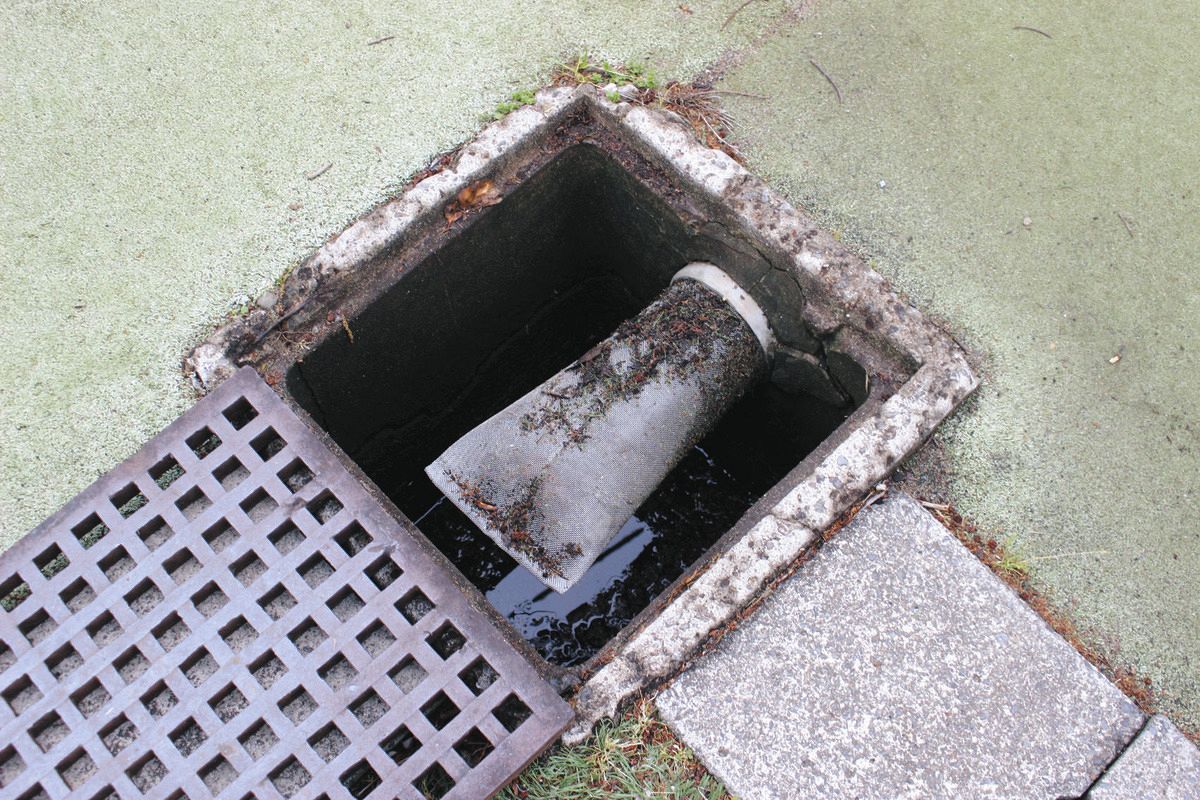 三鷹　流出 昭島・三鷹・西東京市が相次ぎ給食費無償化発表 保育園・幼稚園の半額補助も／Free school lunch announced｜ニュース｜TOKYO  MX