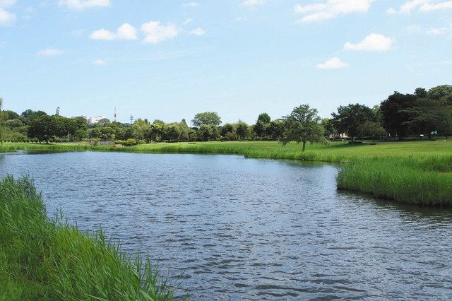 偕楽園公園の月池。右奥が新施設の整備予定地＝水戸市で 