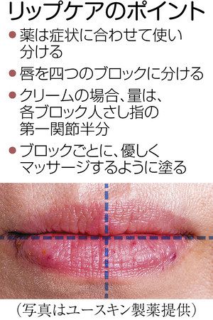 唇ケア 症状に合わせて 乾燥する時季 ひび割れ 出血 東京新聞 Tokyo Web