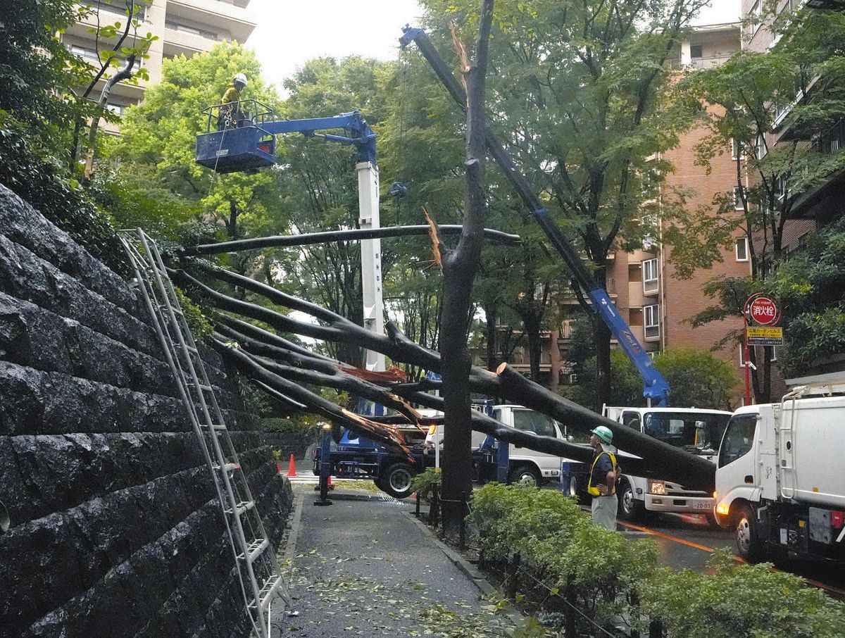 当時のメディア報道・掲載写真