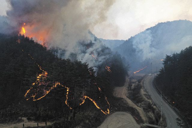 韓国で山火事が全国10カ所以上で同時多発 最近10年で最大被害 原発に火の手迫るも防御 東京新聞 Tokyo Web