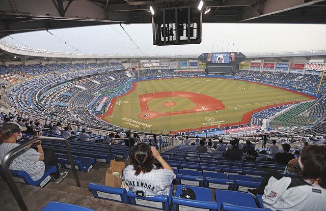 プロ野球に観客戻る ファン 生観戦は格別 大きな声は我慢した 東京新聞 Tokyo Web