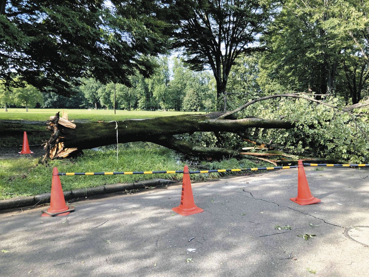 街路樹もカーブミラーも根元から折れた…24日、東京・多摩地域に
