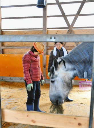 馬の世話をする小林友子さん（左）と宮下季子さん＝福島県南相馬市小高区で