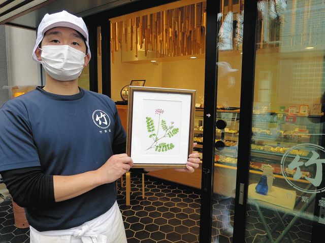 107種の植物画 商店街彩る 牧野博士の朝ドラ化契機 大泉学園駅周辺を