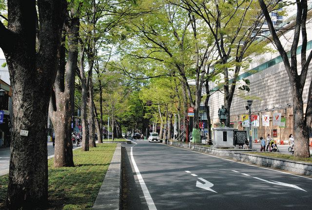 府中のけやき並木通り、貸し出します 日曜祝日、駅前にぎわって：東京新聞デジタル