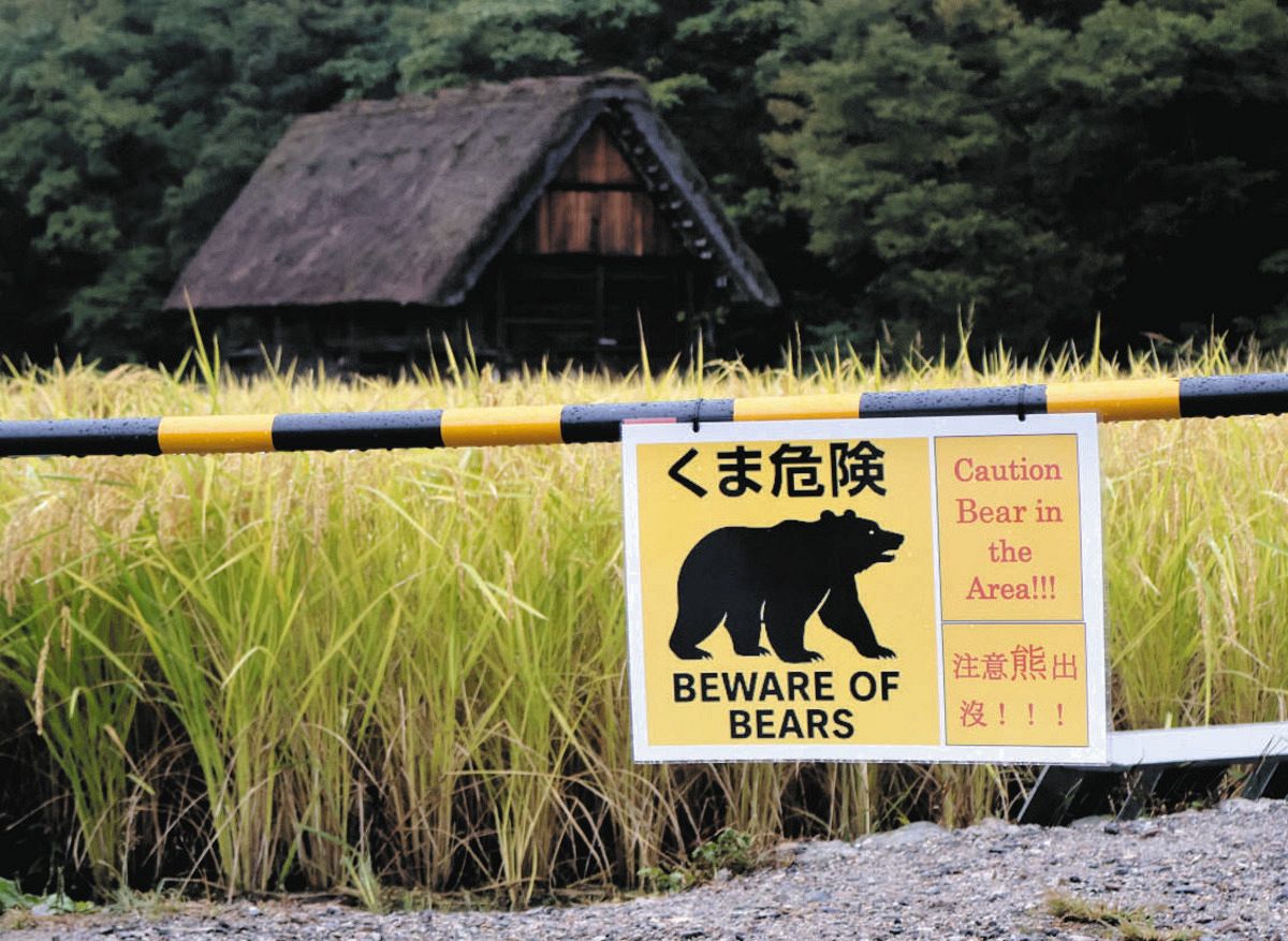 当時のメディア報道・掲載写真
