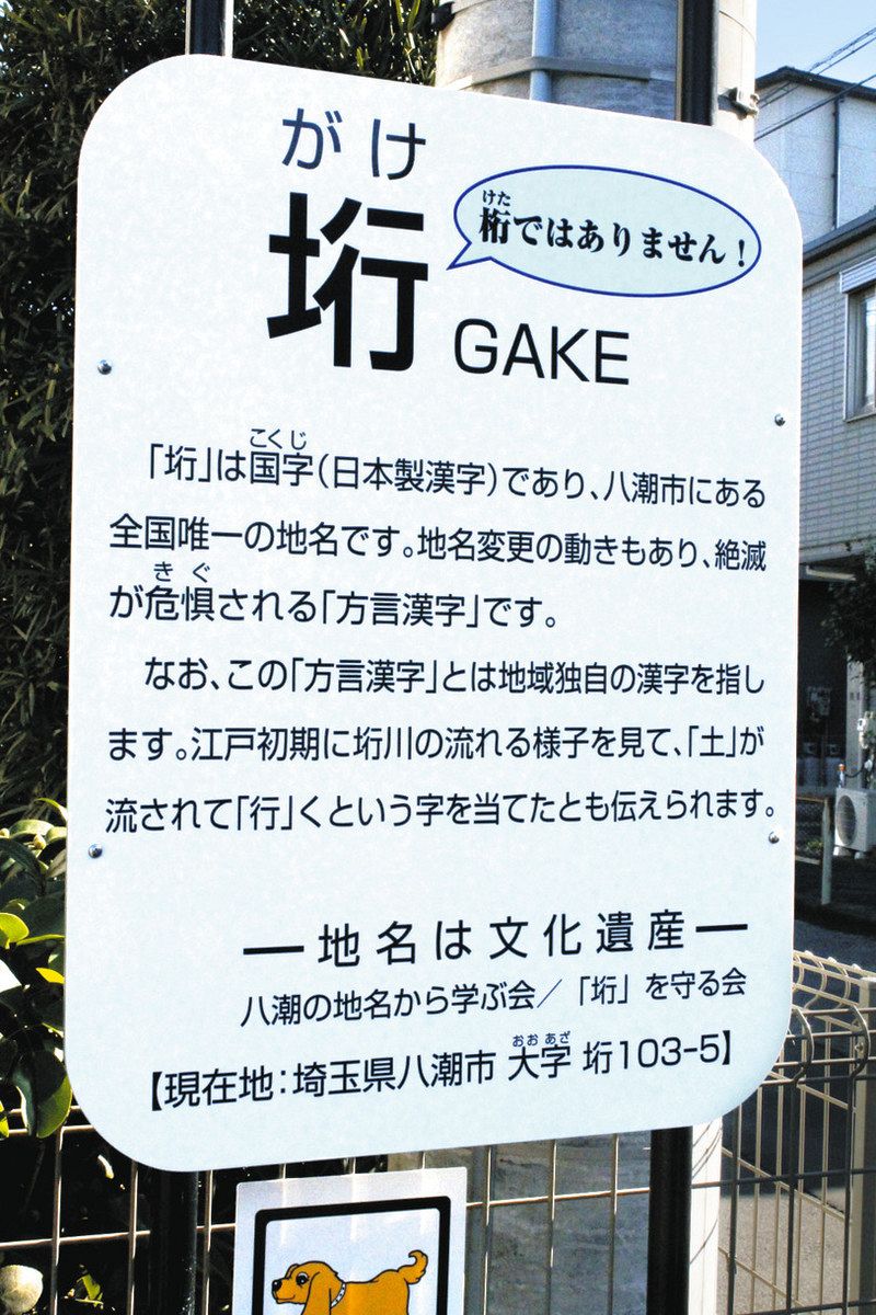 方言字