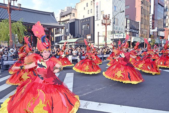 今夏最高気温の中、浅草サンバカーニバル：東京新聞デジタル