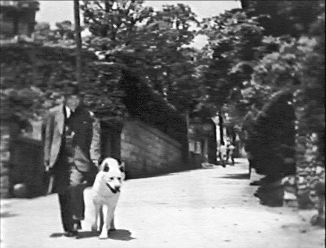 「幻のハチ公映画」の一場面。上野教授役の俳優とハチ公役の秋田犬が散歩している