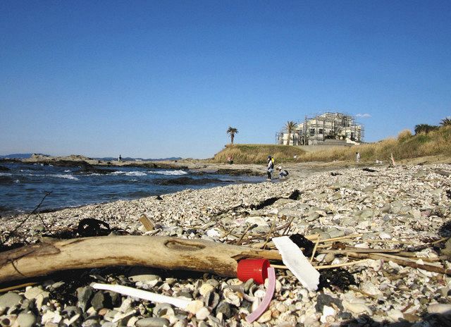 世界の海でプラごみの山 身近な海で実感 自分に返ってくること考えて 東京新聞 Tokyo Web