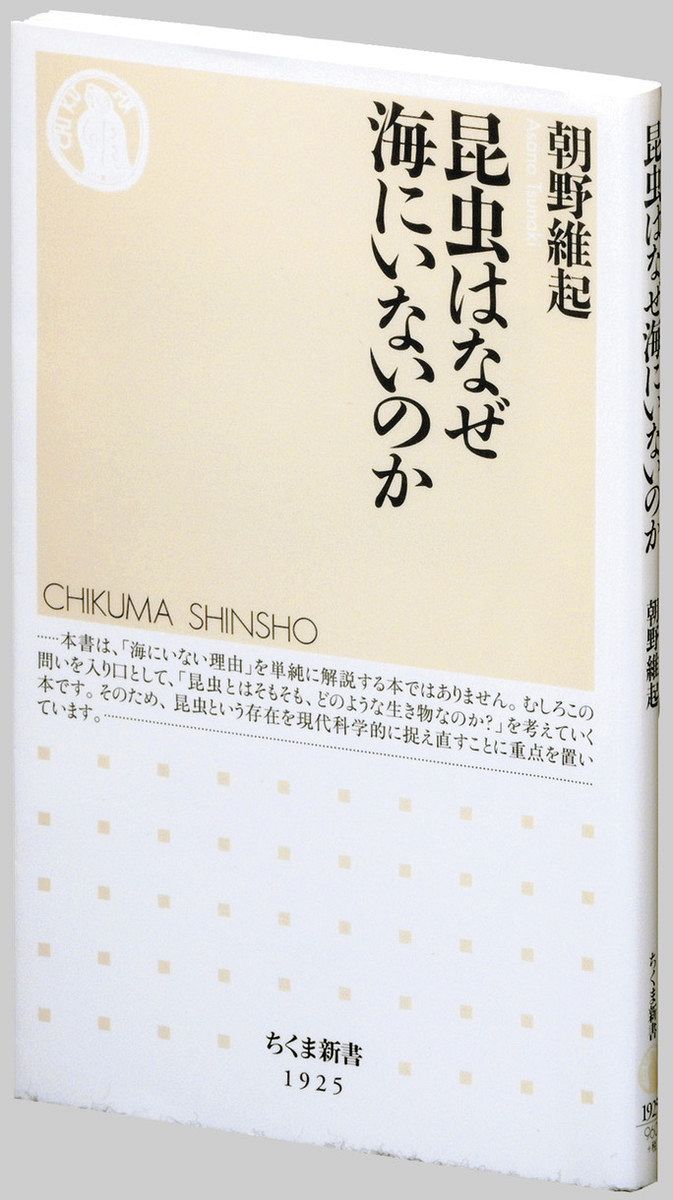 アニメグッズ のか様専用