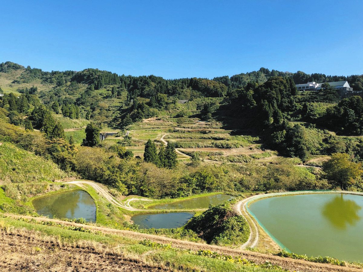 棚田が重なる自然豊かな現在の山古志。右奥は山古志小・中学校