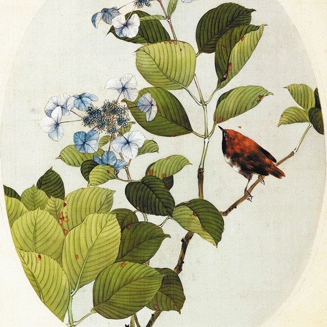 次はこれだ！今日の1点何でしょう？ （11）国宝「花鳥の間」＜4