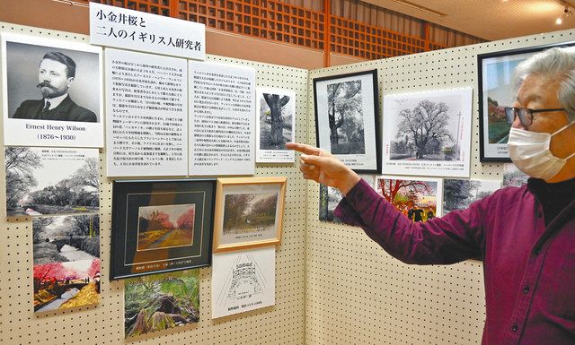 小金井市文化財センターで開催中の「名勝小金井桜」展
