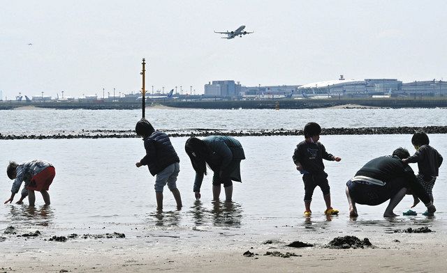 航空機が離陸する羽田空港を背に潮干狩りを楽しむ家族連れ
