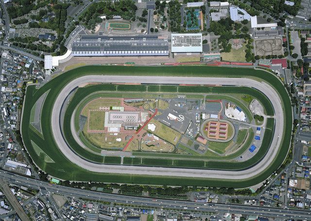 東京競馬場70年史 日本中央競馬会 東京競馬場 🏇JRA70周年:ただいま