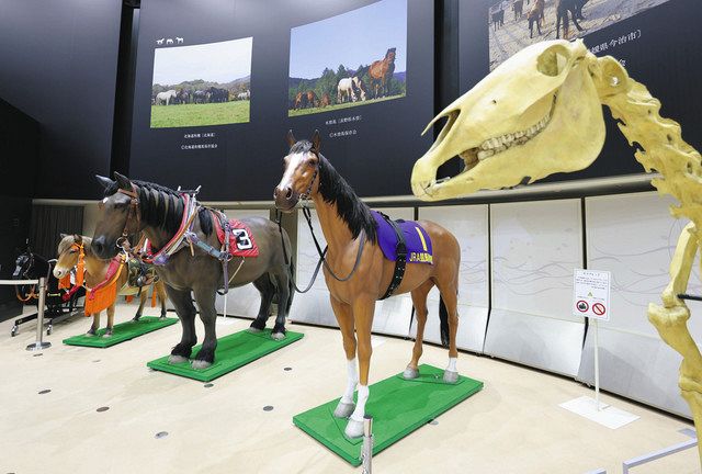 東京競馬場90年 女性、家族連れにも人気スポット：東京新聞デジタル