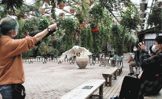 鳥と花に暖房費とえさ代を 富士宮 富士花鳥園が寄付募る 客足減で資金繰り苦しく 東京新聞 Tokyo Web