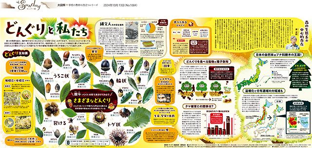 大図解＞どんぐりと私たち（No.1684）：東京新聞デジタル