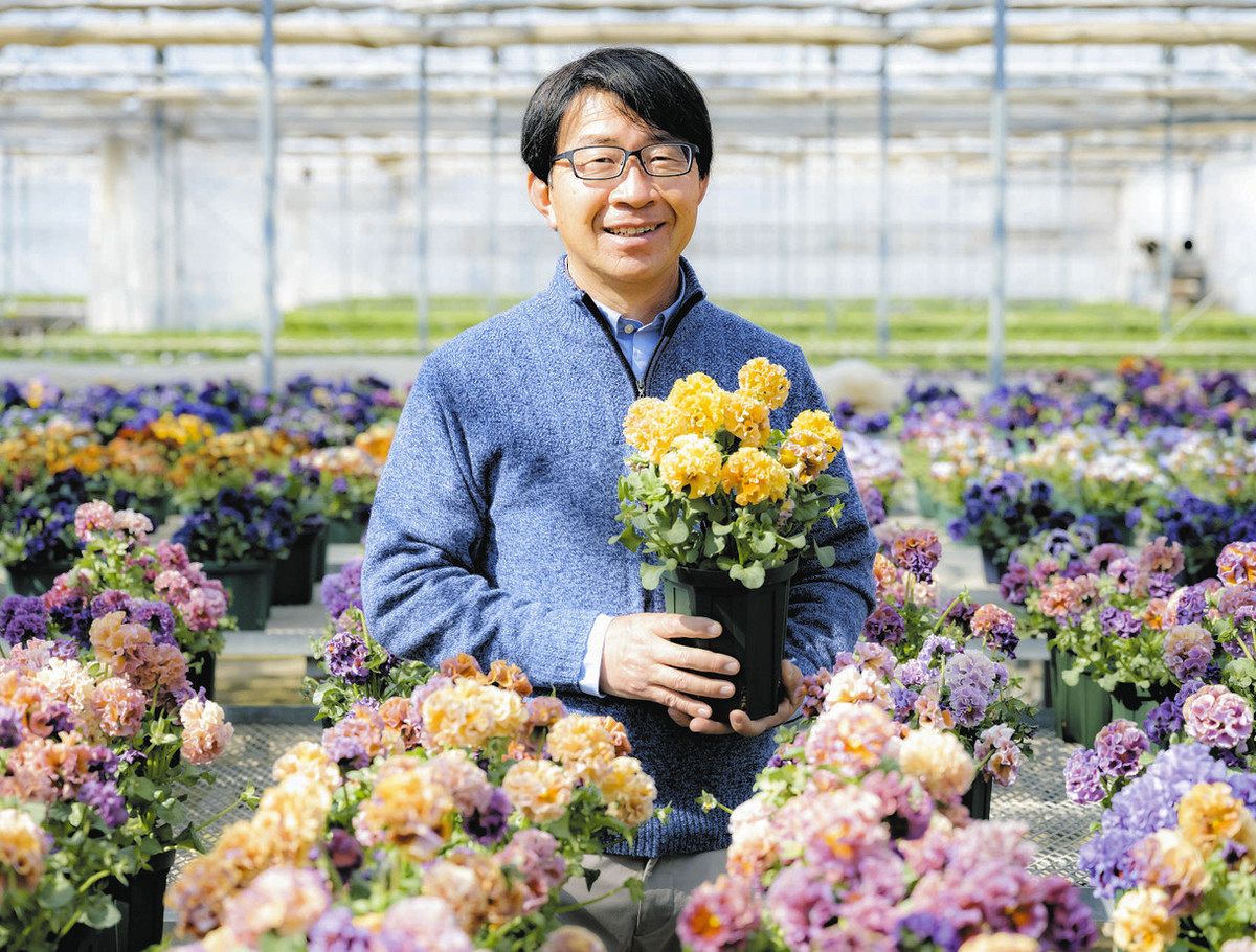 世界に一つの花づくり」開花 高崎の佐藤勲さん、農林水産祭最高賞