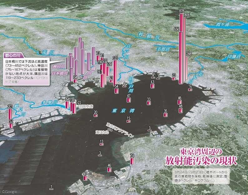 東京湾周辺の放射能汚染追う 40地点で採取：東京新聞 TOKYO Web