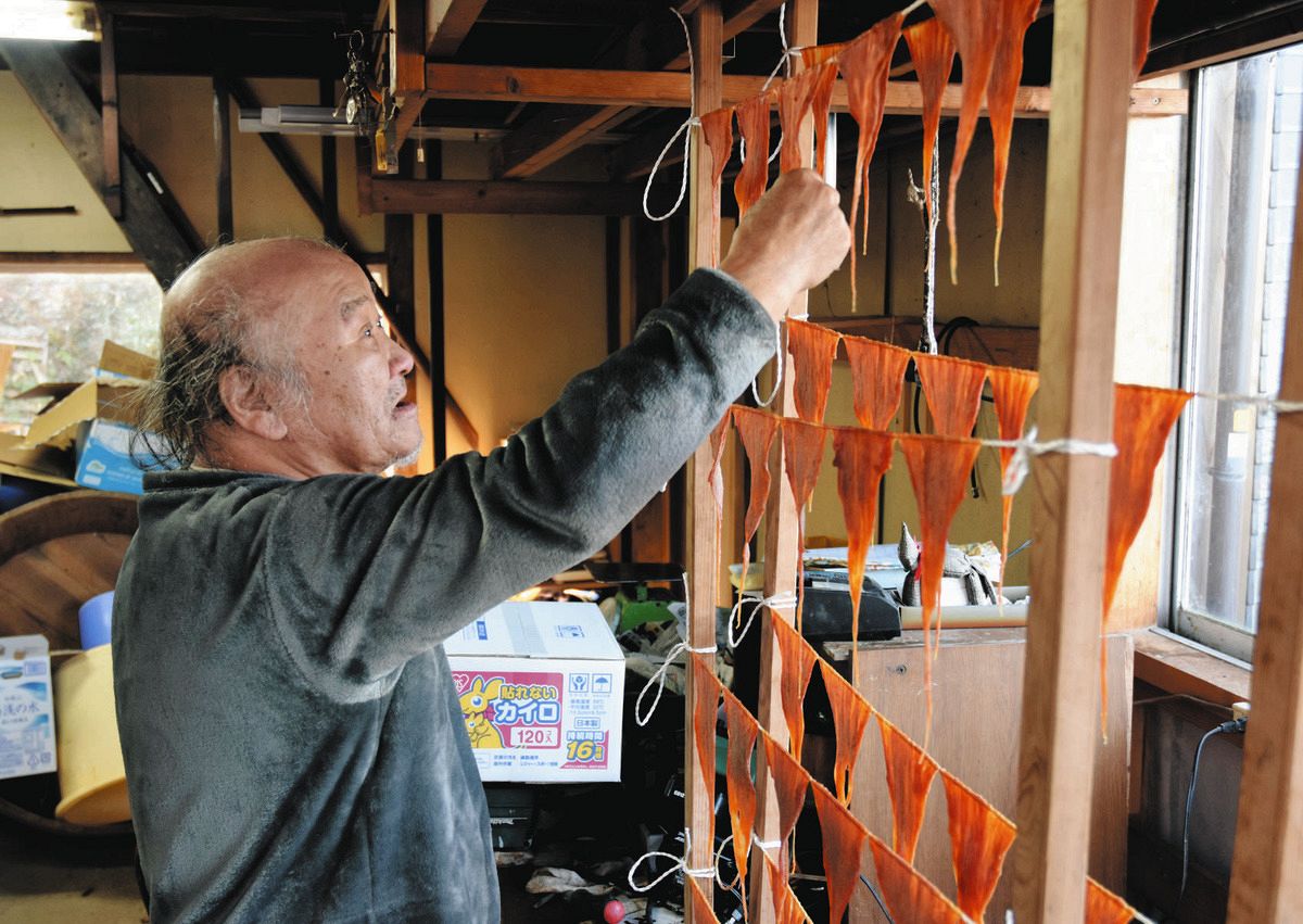 コノワタ、クチコ…能登の高級珍味がつくれない 地震でナマコ入荷が