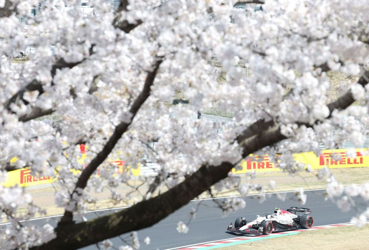 満開の桜の下、F1日本グランプリ開幕 ：東京新聞デジタル