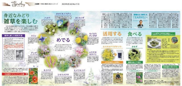 大図解＞雑草を楽しむ（No.1713）：東京新聞デジタル