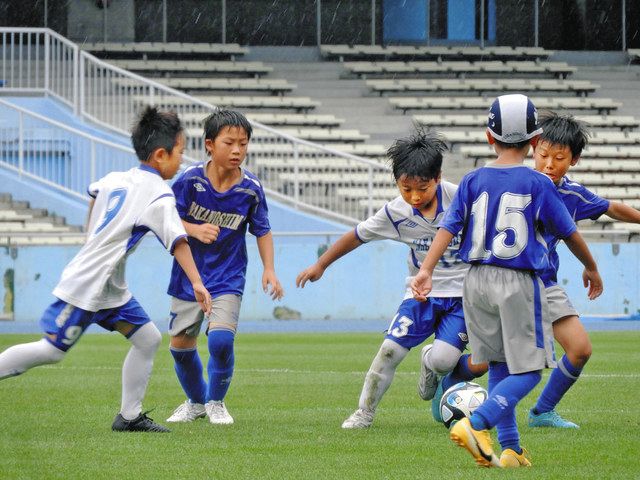 かわしん杯ジュニアサッカー大会 中野島FCブルーが優勝：東京新聞