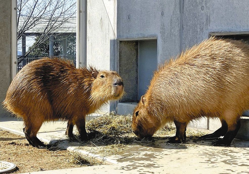 a6536f64c211f8bc324faab392d787