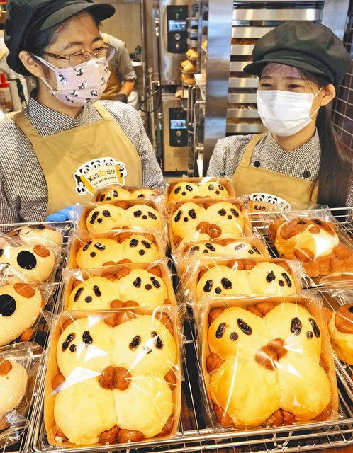 誕生から3カ月 双子パンダ、かわいさもW（ダブル） @上野